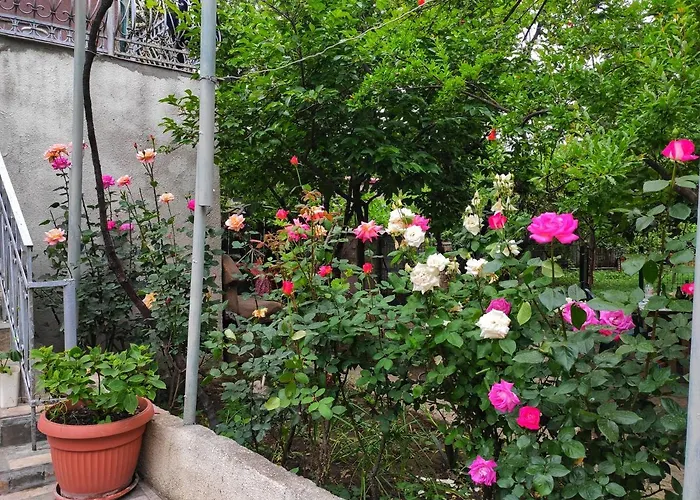 Guesthouse Ttt-1